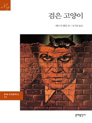 cover image of 검은 고양이